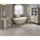 VENETO GRAY 3X18 BULLNOSE POLISHED