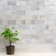 GREECIAN WHITE 3X6