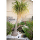 PIEDRA HIM WHITE NAT PEBBLES 1-2IN 40LB