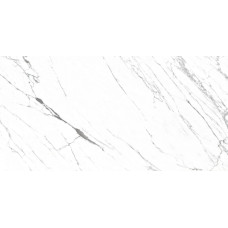 VENATO 24