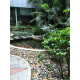 MIXED PEBBLES 0.5 CM - 1.2 CM