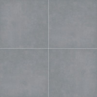 TRUE BLUESTONE 24X24 PAVER
