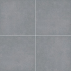 TRUE BLUESTONE 24X24 PAVER