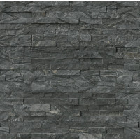 GLACIAL BLACK 6x24 PANEL
