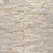 ARCTIC GOLDEN MINI PANEL