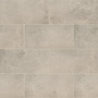 CALYPSO ASH 12X24 MATTE