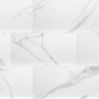 DYMO STATUARY 12X24 GLOSSY