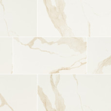 EDEN CALCATTA 24X48 MATTE