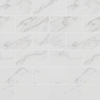 PIETRA CARRARA 2X4 MOSAIC POLISHED