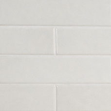 RENZO DOVE 3X12 GLOSSY