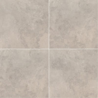 ROMAN SILVER 18X18 MATTE