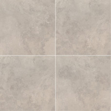 ROMAN SILVER 18X18 MATTE