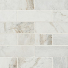 ARABESCATO VENATO WHITE 2X6 HONED