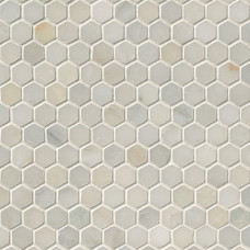 GREECIAN WHITE 1 HEXAGON MOSAIC