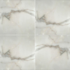 CALACATTA GOLD 12X12 HONED