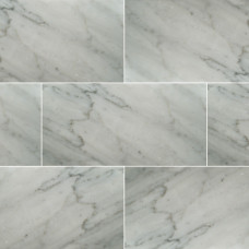 CARRARA WHITE 12X24 HONED