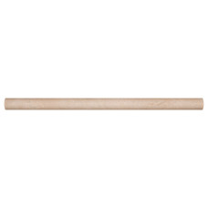 IVORY PEN MOLDING
