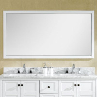 Dowell 60 Inch Mirror 005 series