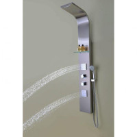 NIAGARA 64 IN. 2-JETTED SHOWER PANEL WITH HEAVY RAIN SHOWER AND SPRAY WAND IN BRUSHED STEEL