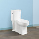 Siphonic One Piece Toilet 090 – 2815 01