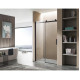 RHODES SERIES 48 IN. X 76 IN. FRAMELESS SLIDING SHOWER DOOR WITH HANDLE