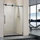 Shower door System LY9501