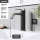 VIGO Madison Single Hole cFiber© Bathroom Faucet