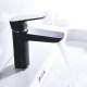 Single Handle Lavatory Faucet – 8001 021