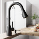 VIGO Aylesbury Pull-Down Spray Kitchen Faucet