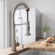VIGO Edison Pull-Down Spray Kitchen Faucet