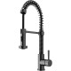 VIGO Edison Pull-Down Spray Kitchen Faucet