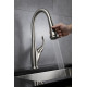 Garbatella Brass Kitchen Faucet w/ Pull Out Sprayer