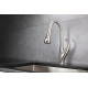 Garbatella Brass Kitchen Faucet w/ Pull Out Sprayer