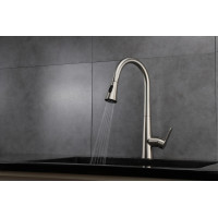 Furio Brass Kitchen Faucet w/ Pull Out Sprayer