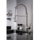 Lanuvio Brass Kitchen Faucet w/ Pull Out Sprayer