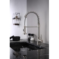 Lanuvio Brass Kitchen Faucet w/ Pull Out Sprayer