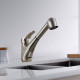 Single Handle Pull-Out Kitchen Faucet – 8002 009
