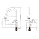 Single Handle Pull-Down Kitchen Faucet – 8002 011