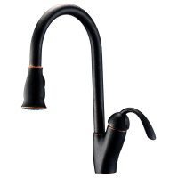 Single Handle Pull-Down Kitchen Faucet – 8002 011