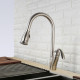 Single Handle Pull-Down Kitchen Faucet – 8002 011