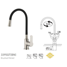 Single Handle Pull-Down Kitchen Faucet 3395QT(BN)