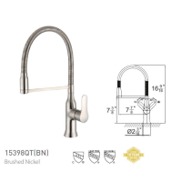 Single Handle Pull-Out Kitchen Faucet 15398QT(BN)