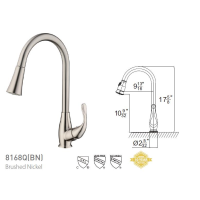 Single Handle Pull-Down Kitchen Faucet 8168Q Brushed Nickel