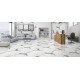 Calacatta Spider 32x64 Matte