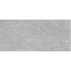 Armani Grey 48x96 Polished
