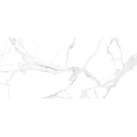 Calacatta Venice 32x32 Polished