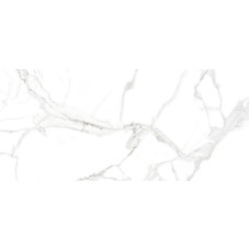 Calacatta Venice 32x64 Polished