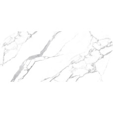 Calacatta Italia 48x48 Matte