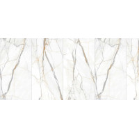Calacatta Borghini 48x48 Polished
