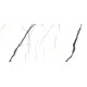 Calacatta SV 32x64 Polished